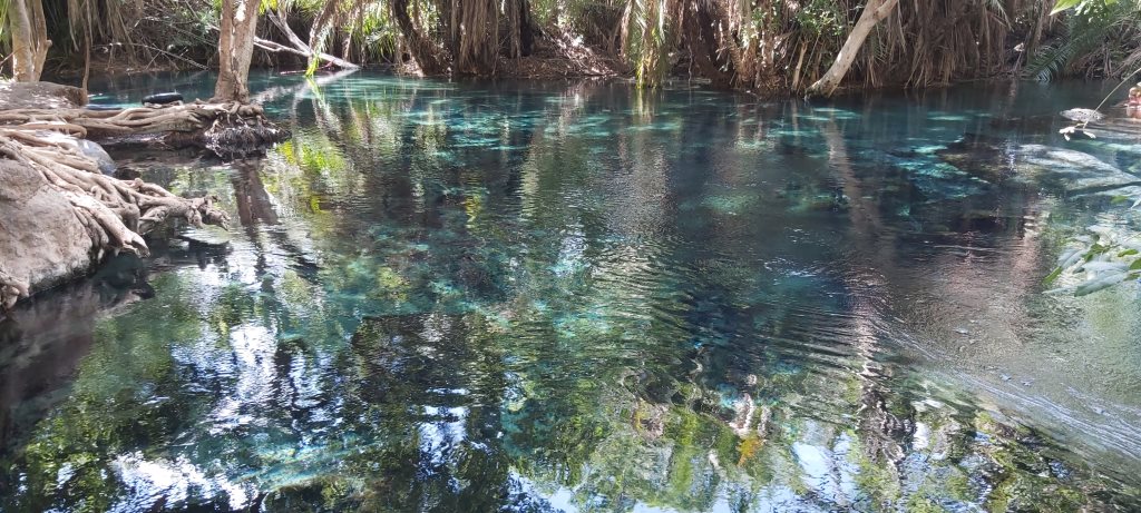 Kikuletwa Hot Springs