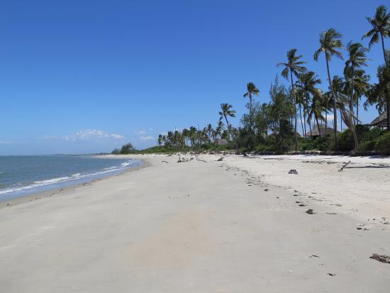 Saadani National Park Beach