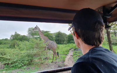 3 Days Fly-In Safari Nyerere National Park (former Selous G. R.)