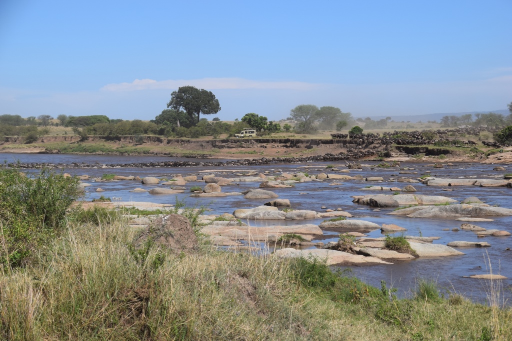 Wildebeest Migration Mara River Serengeti